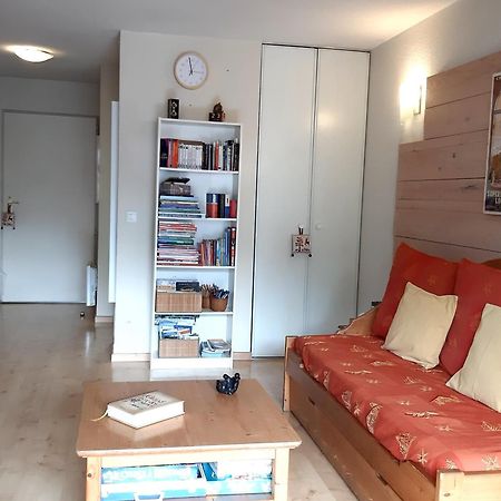 Le 102, T3 Pour 5 Personnes, Vue Montagne, Classe 2 Etoiles Nf, Parking, Piscine En Ete Bagnères-de-Luchon Екстериор снимка