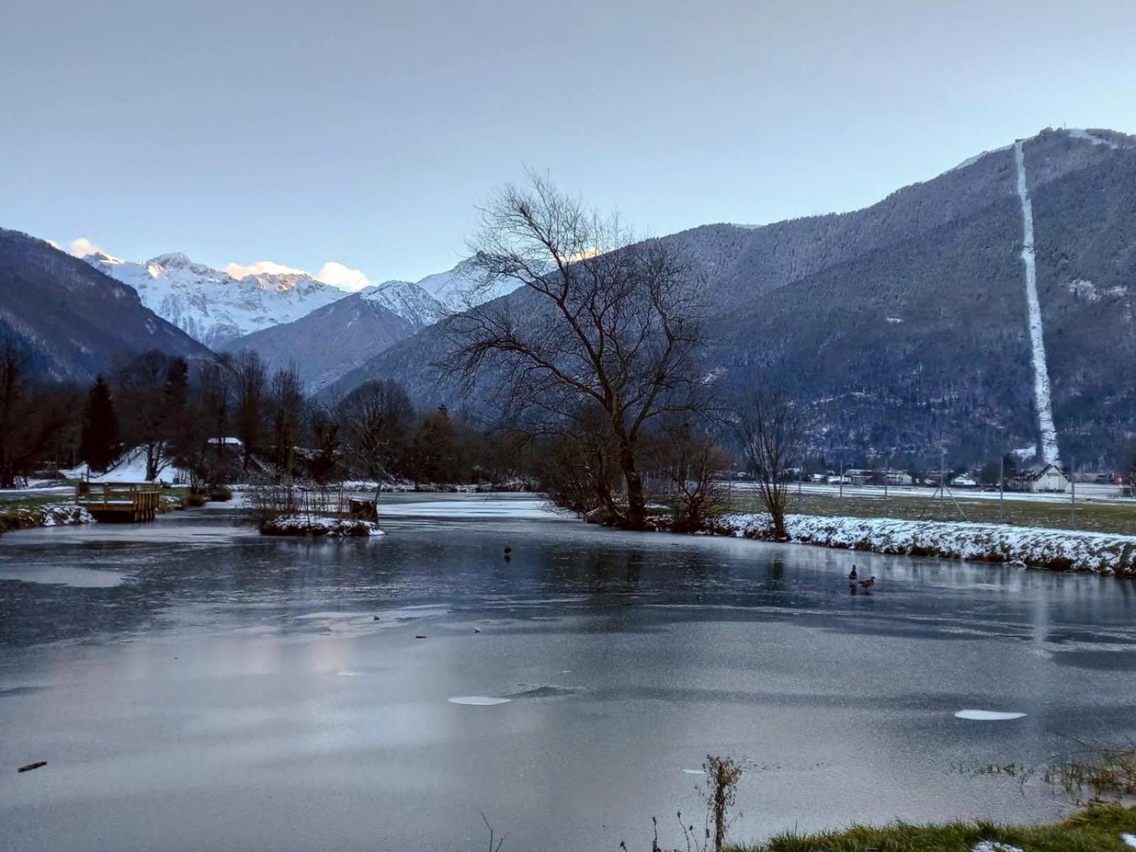 Le 102, T3 Pour 5 Personnes, Vue Montagne, Classe 2 Etoiles Nf, Parking, Piscine En Ete Bagnères-de-Luchon Екстериор снимка