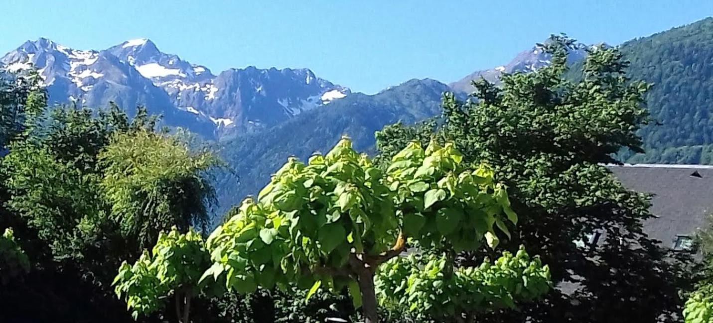 Le 102, T3 Pour 5 Personnes, Vue Montagne, Classe 2 Etoiles Nf, Parking, Piscine En Ete Bagnères-de-Luchon Екстериор снимка